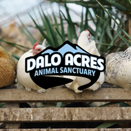 Chicken Coop Sponsorship