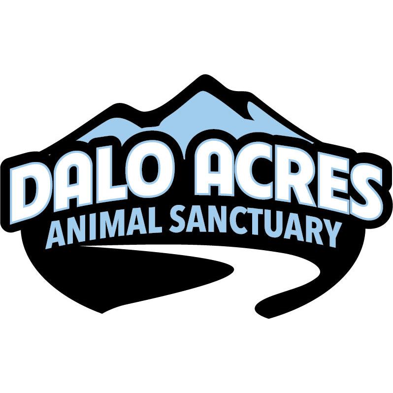 Isaiah 40:31 – Finding Strength and Hope | Dalo Acres Animal Sanctuary