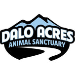 Isaiah 40:31 – Finding Strength and Hope | Dalo Acres Animal Sanctuary