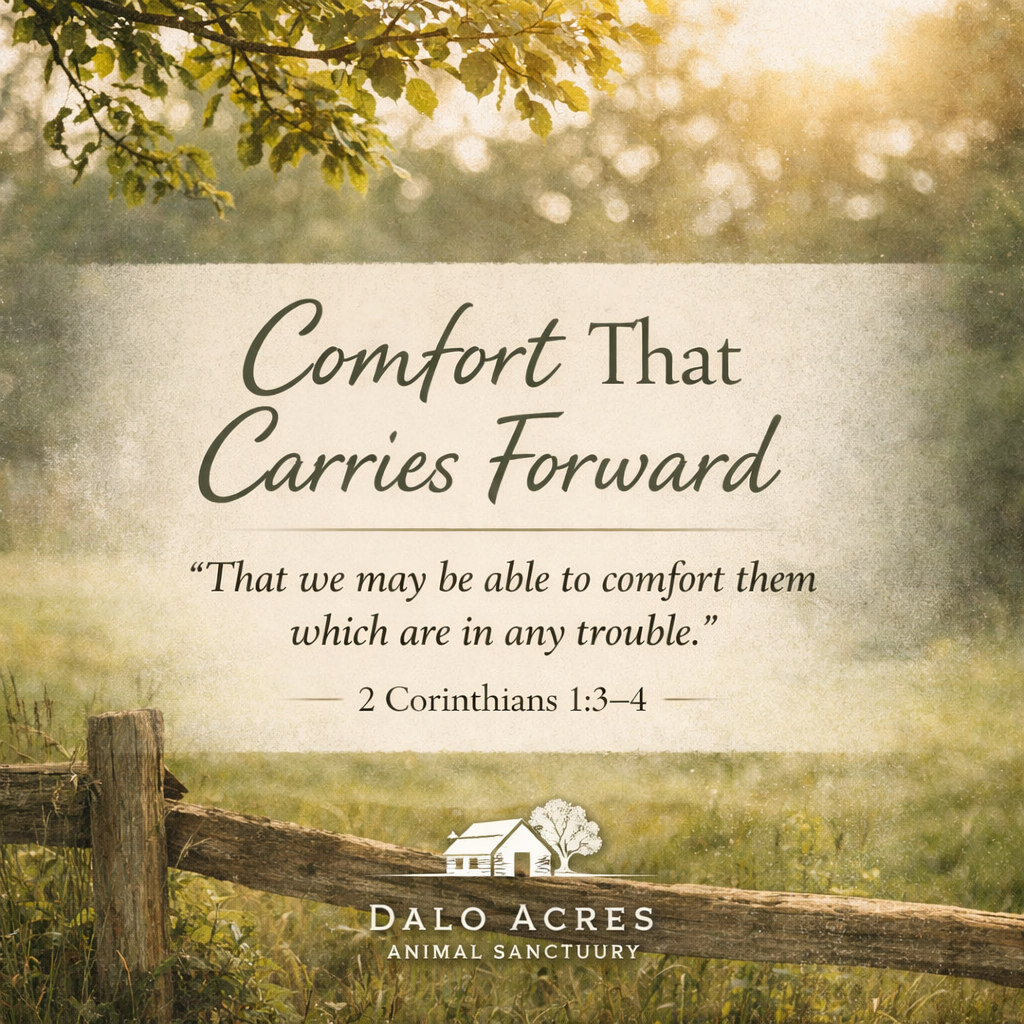 2 Corinthians 1:3–4 Devotional | Comfort That Carries Forward