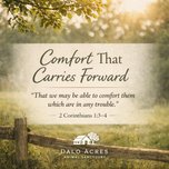 Romans 8:38–39 — Nothing Can Separate You | Dalo Acres Devotional