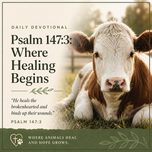 Psalm 147:3 Devotional | Where Healing Begins | Dalo Acres