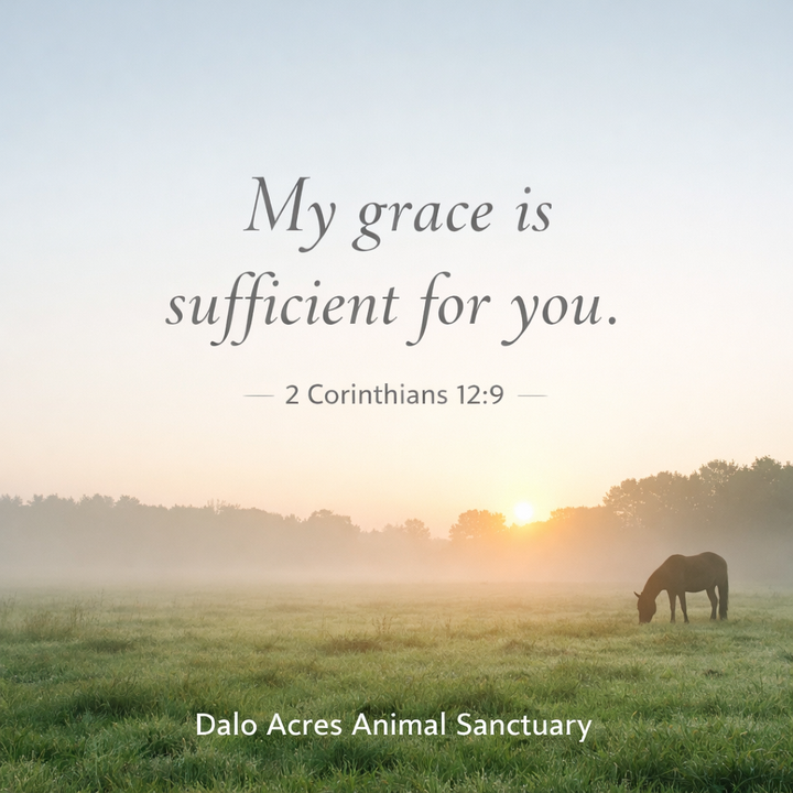 2 Corinthians 12:9 Devotional | Strength in Your Weakness | Dalo Acres