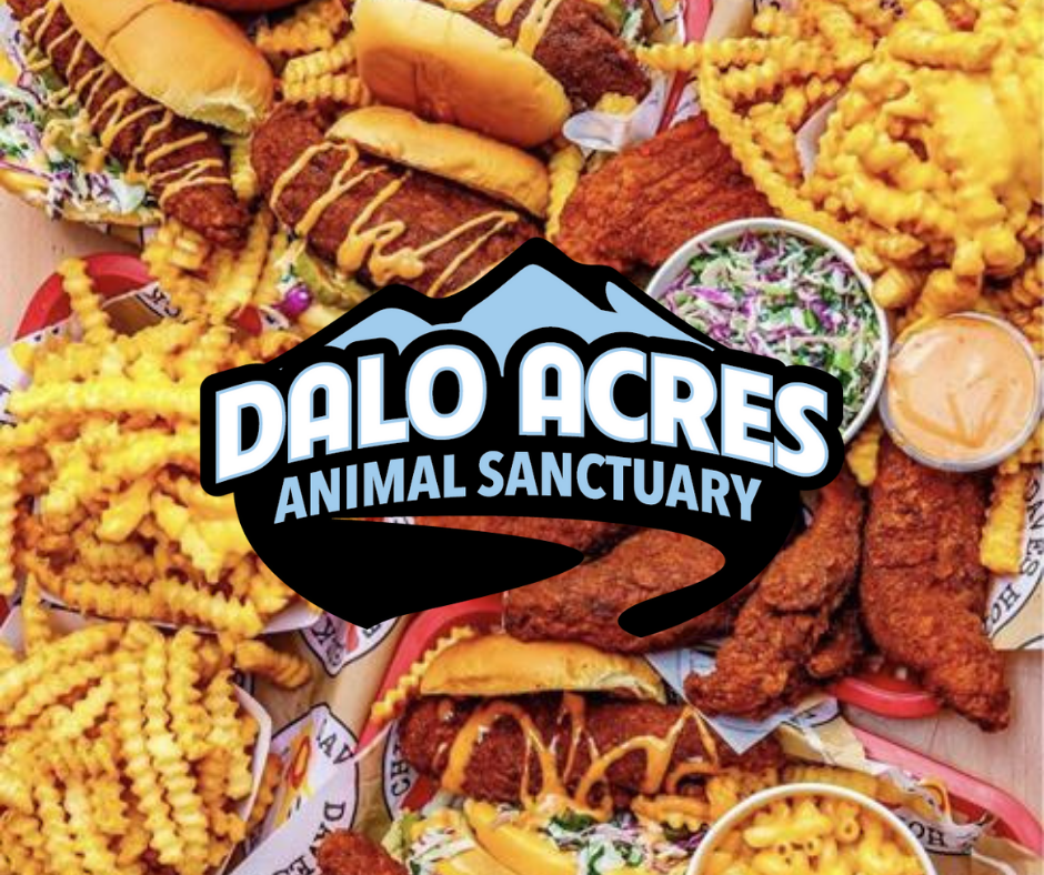 Dalo Acres Fundraiser Night at Dave’s Hot Chicken | January 16, 2026