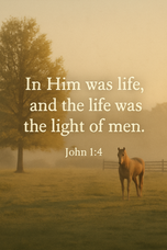 n 1:4 — Life That Lights the Way | Dalo Acres Devotional