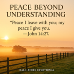 John 14:27 — Peace Beyond Understanding | Dalo Acres Devotional