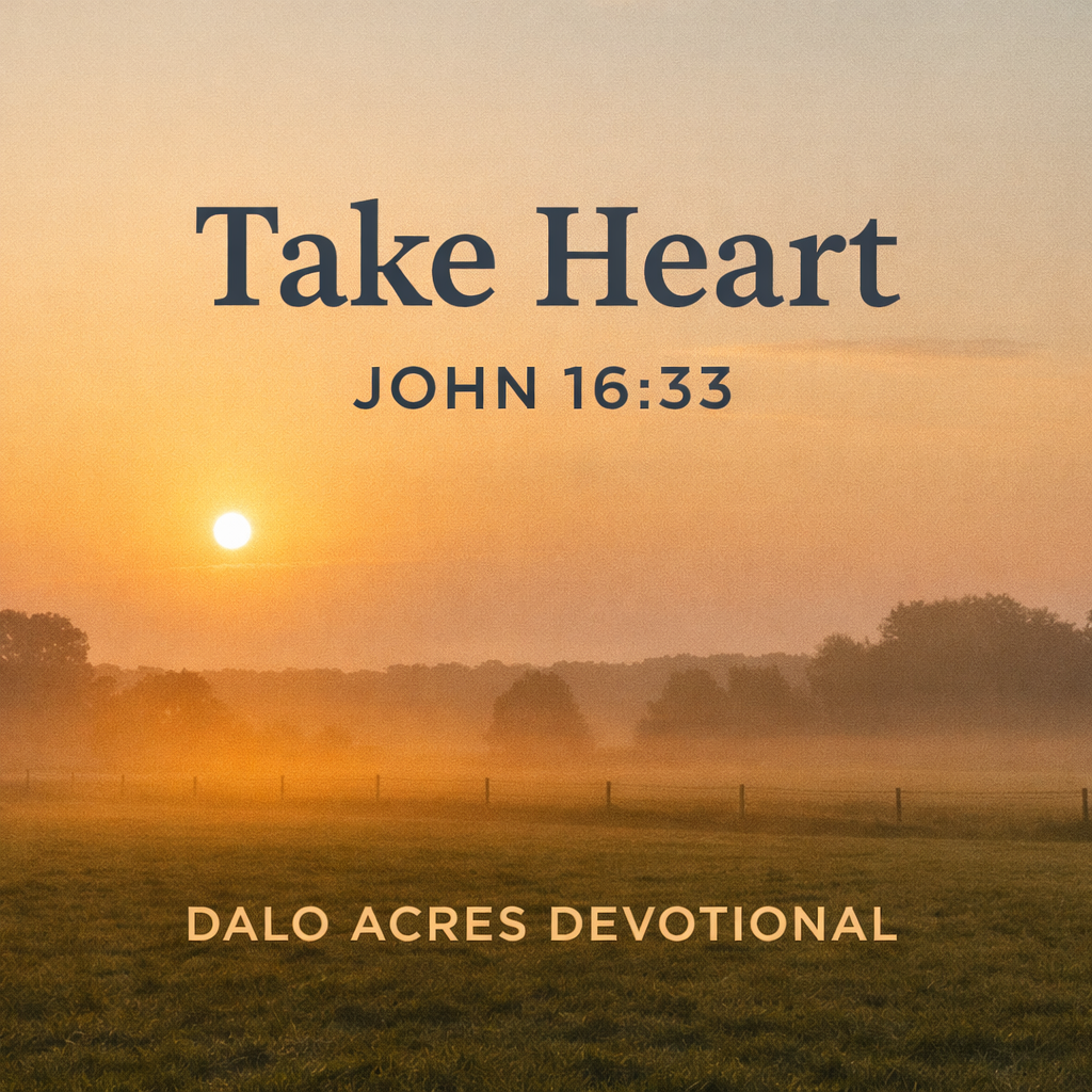 John 16:33 — Take Heart | Dalo Acres Devotional