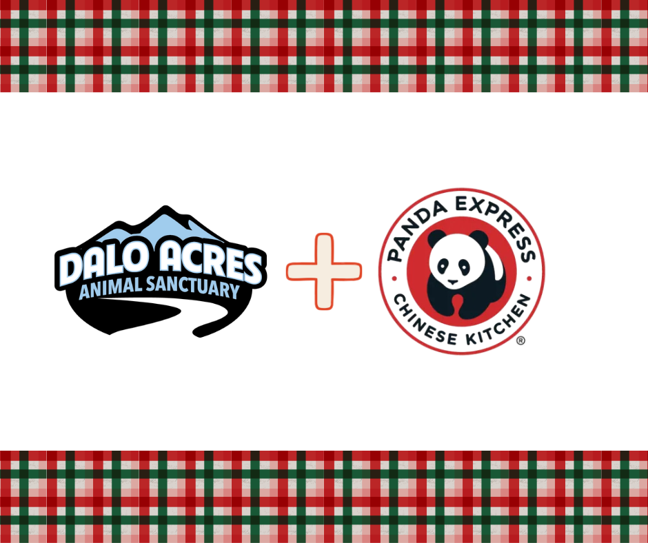 Panda Express Fundraiser for Dalo Acres | Eat Together. Give Back.