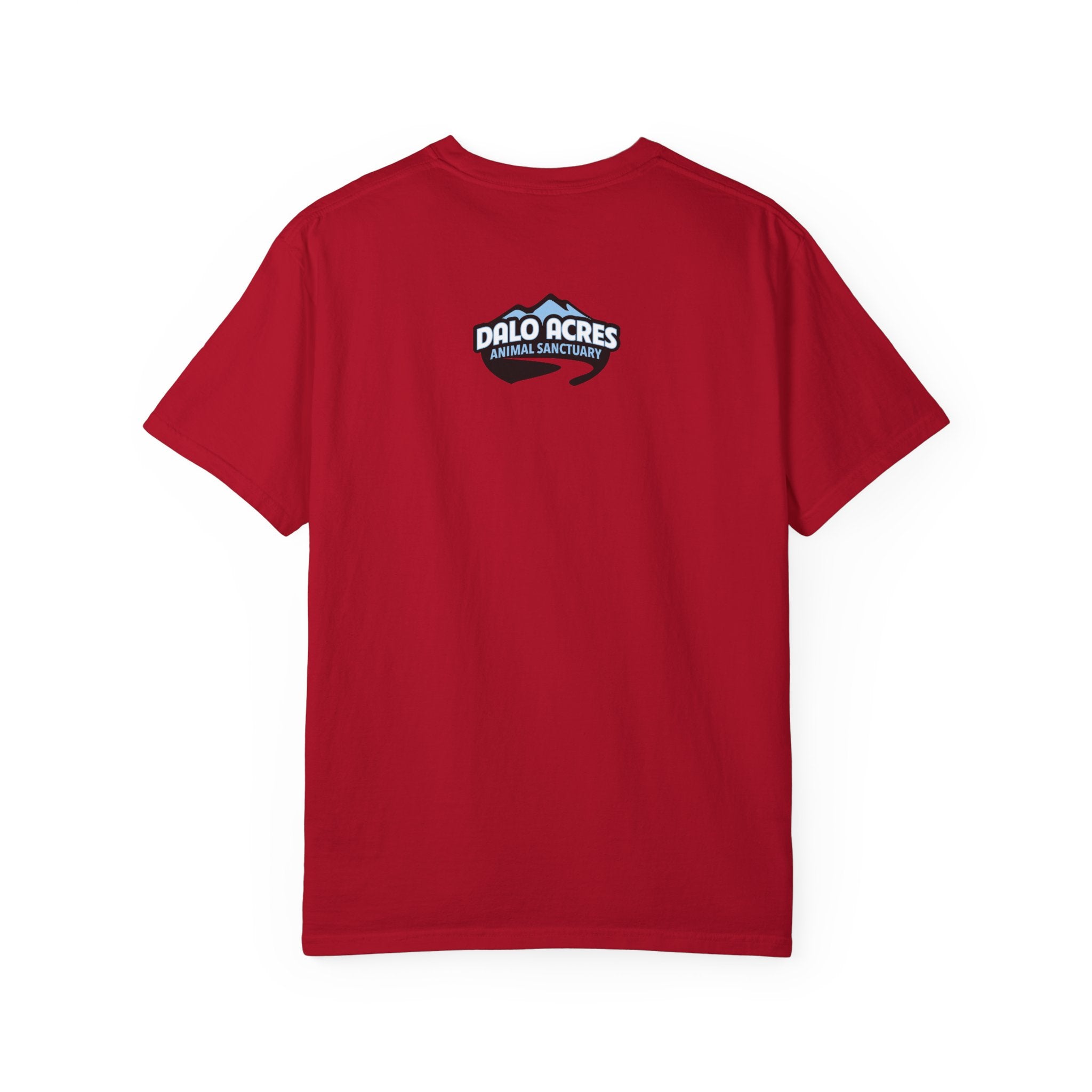 2025 New Goat Celebration Tee