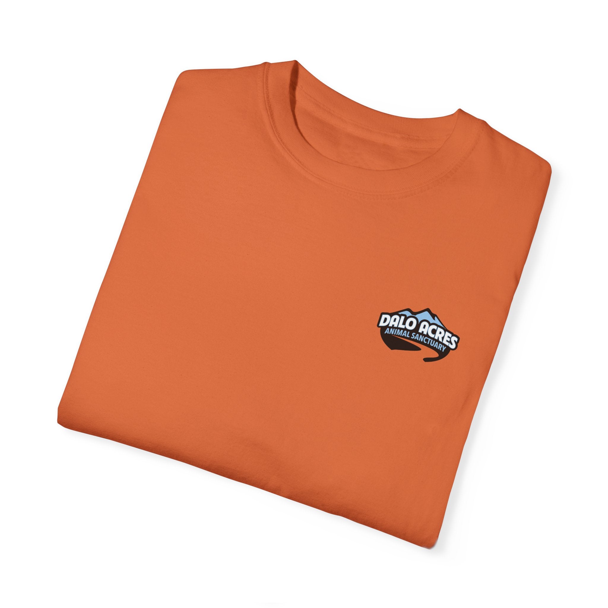 2025 New Goat Celebration Tee Version 2