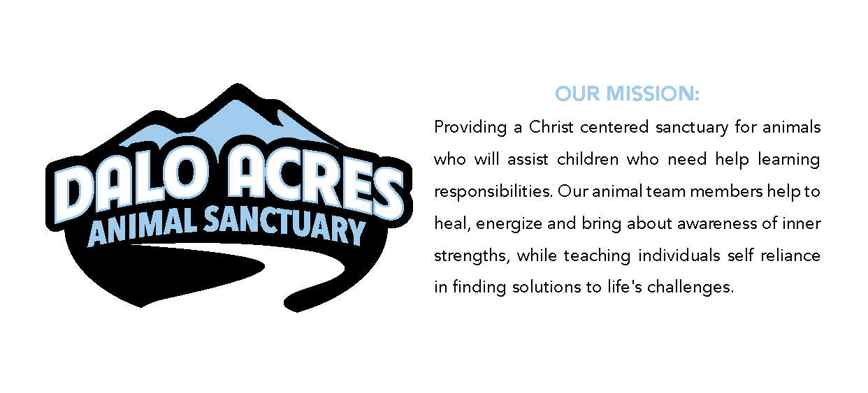 Donate to Dalo Acres Animal Sanctuary | Help Animals Heal