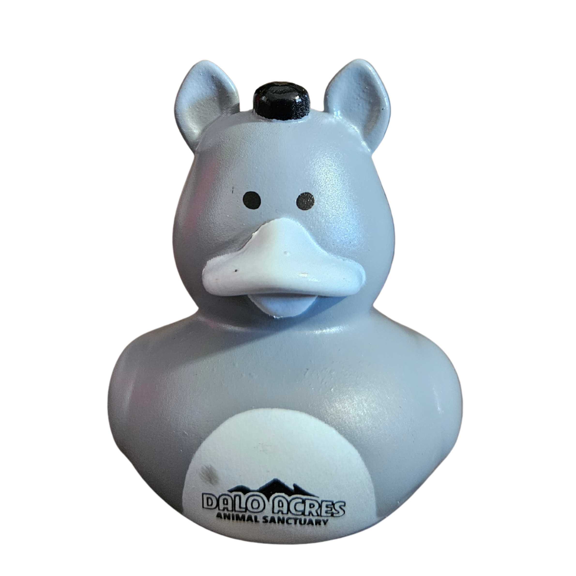 Donation Duck