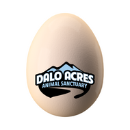 The Dalo Acres Single Farm Fresh Egg — For the Discerning Philanthropic Elite