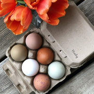 Chicken Supplies | Flock Care Essentials at Dalo Acres