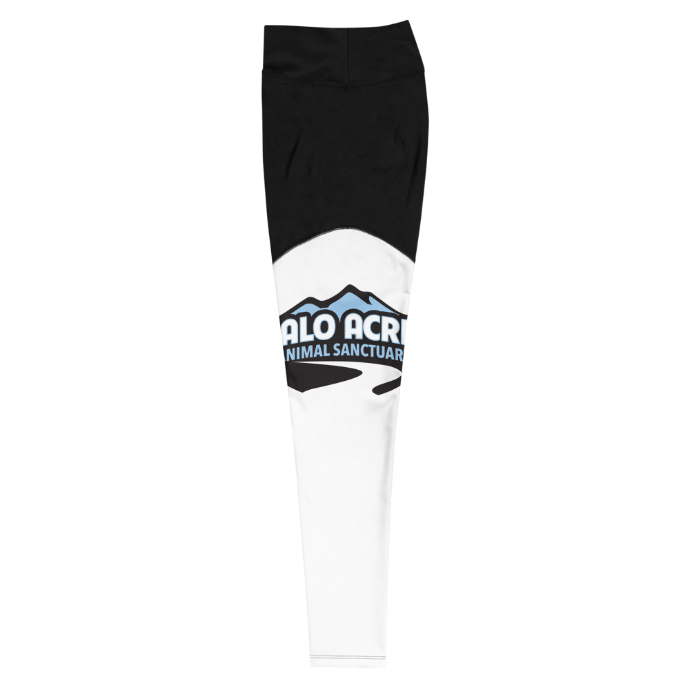 Sports Leggings