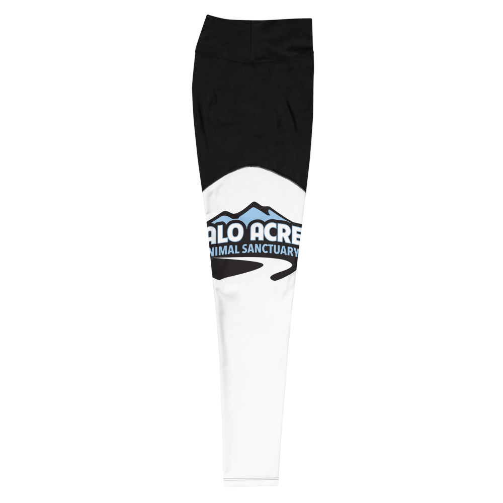 Sports Leggings