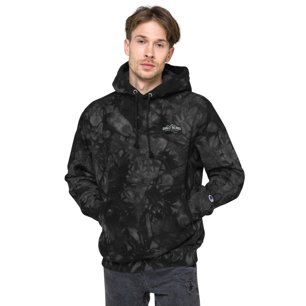 Dalo Acres Unisex Champion tie-dye hoodie