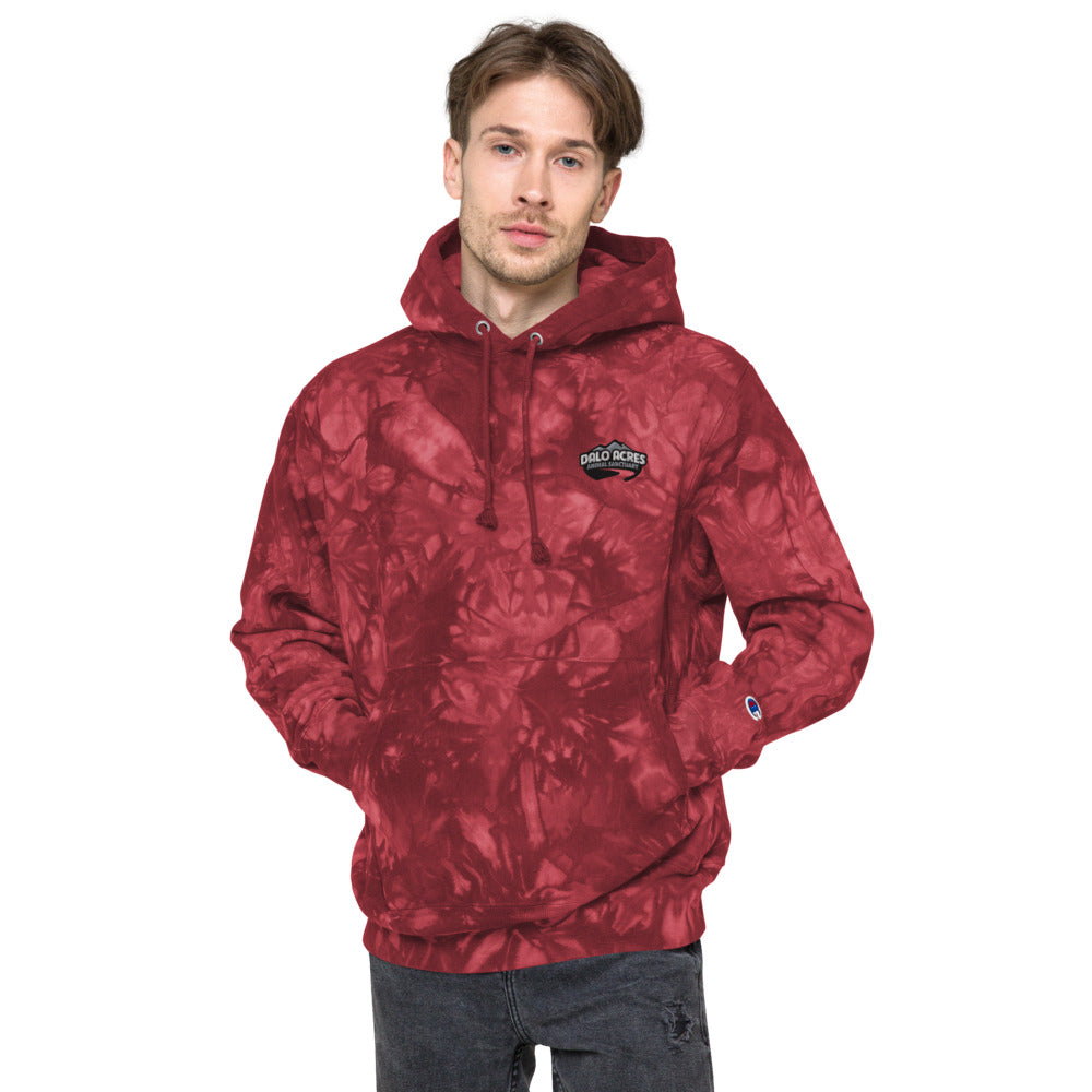 Dalo Acres Unisex Champion tie-dye hoodie