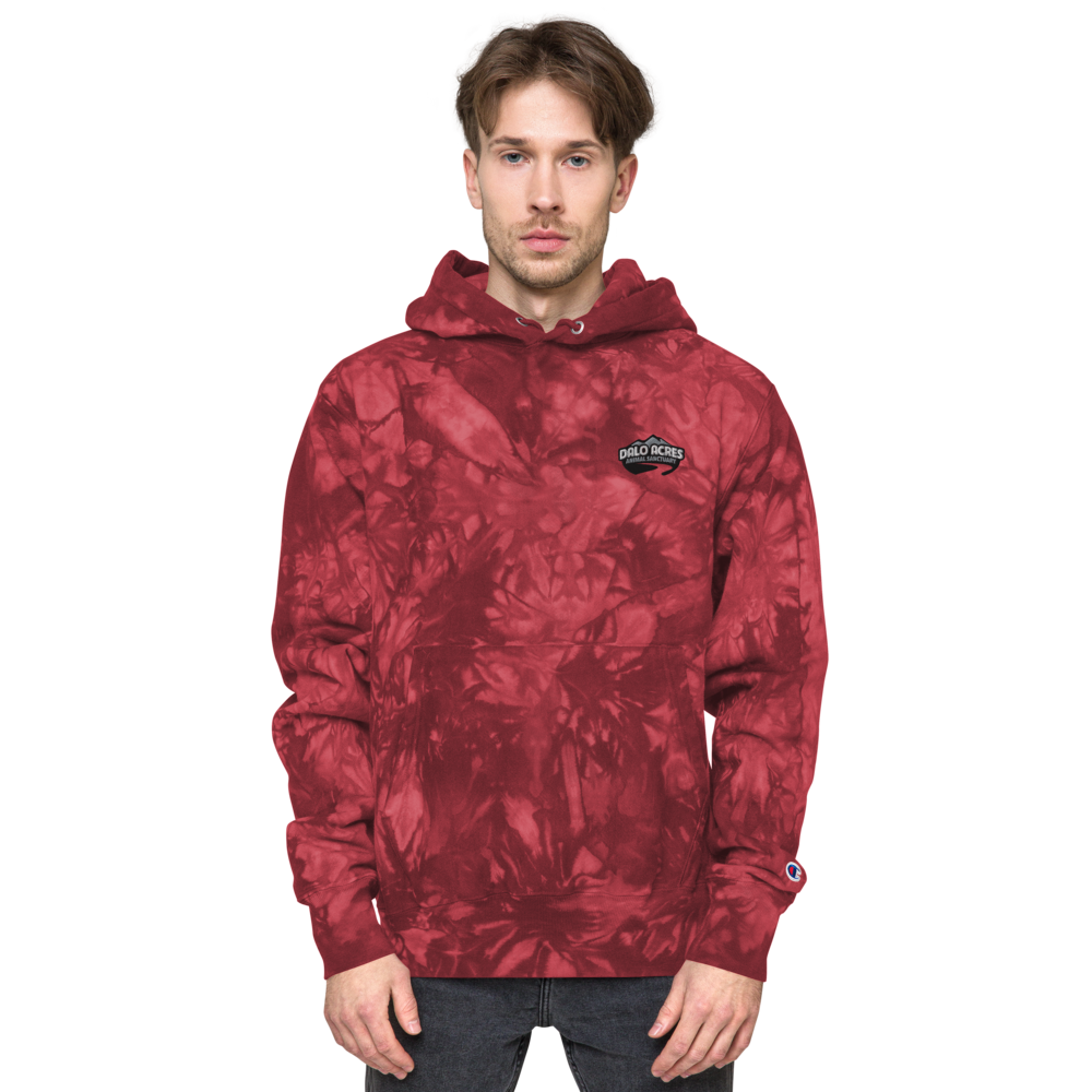 Dalo Acres Unisex Champion tie-dye hoodie