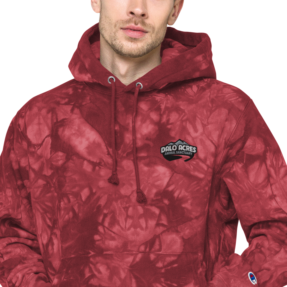 Dalo Acres Unisex Champion tie-dye hoodie