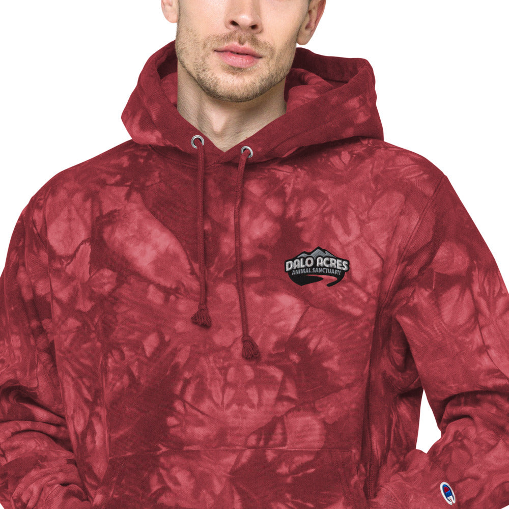 Dalo Acres Unisex Champion tie-dye hoodie