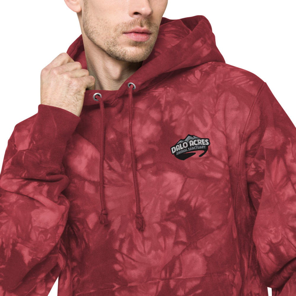 Dalo Acres Unisex Champion tie-dye hoodie