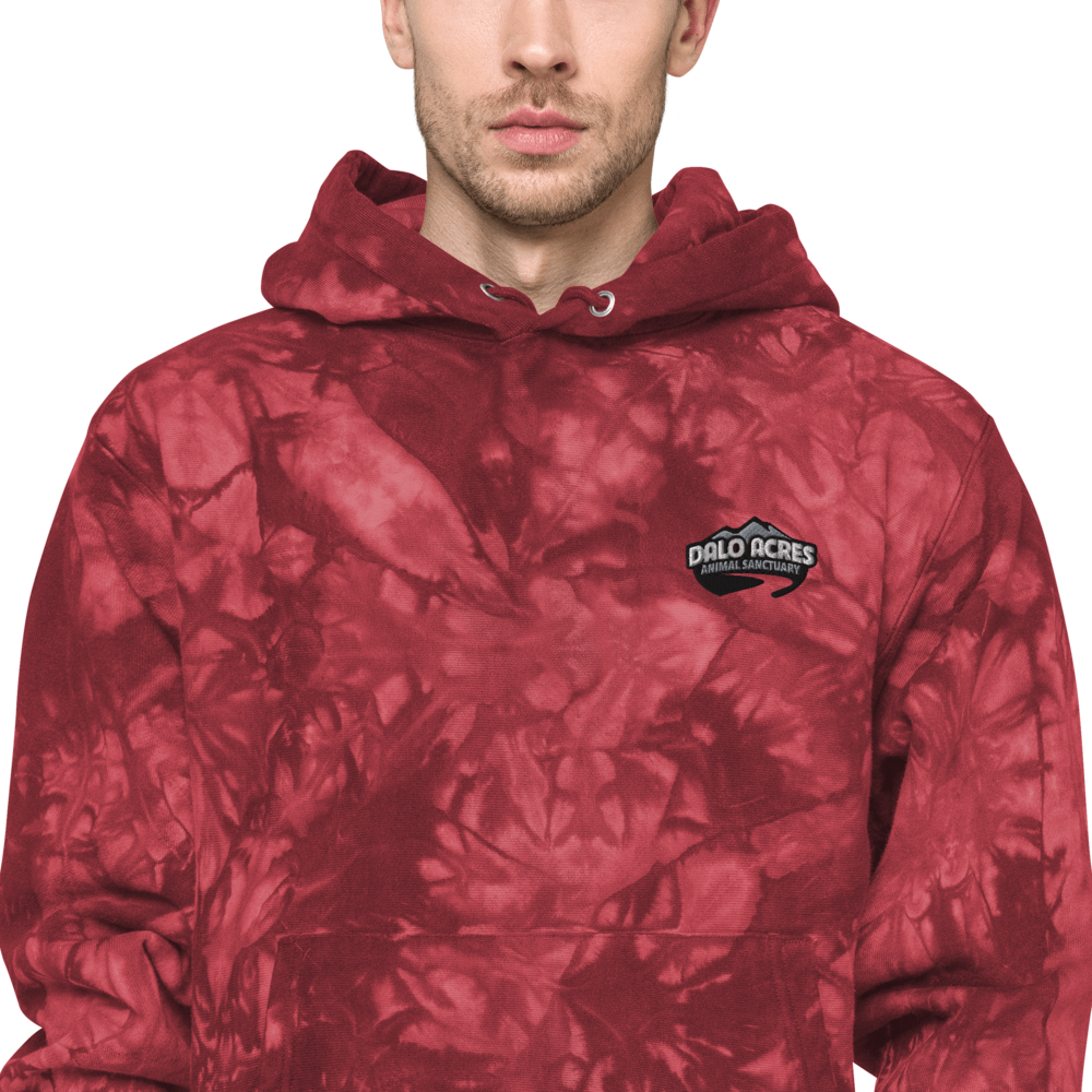 Dalo Acres Unisex Champion tie-dye hoodie
