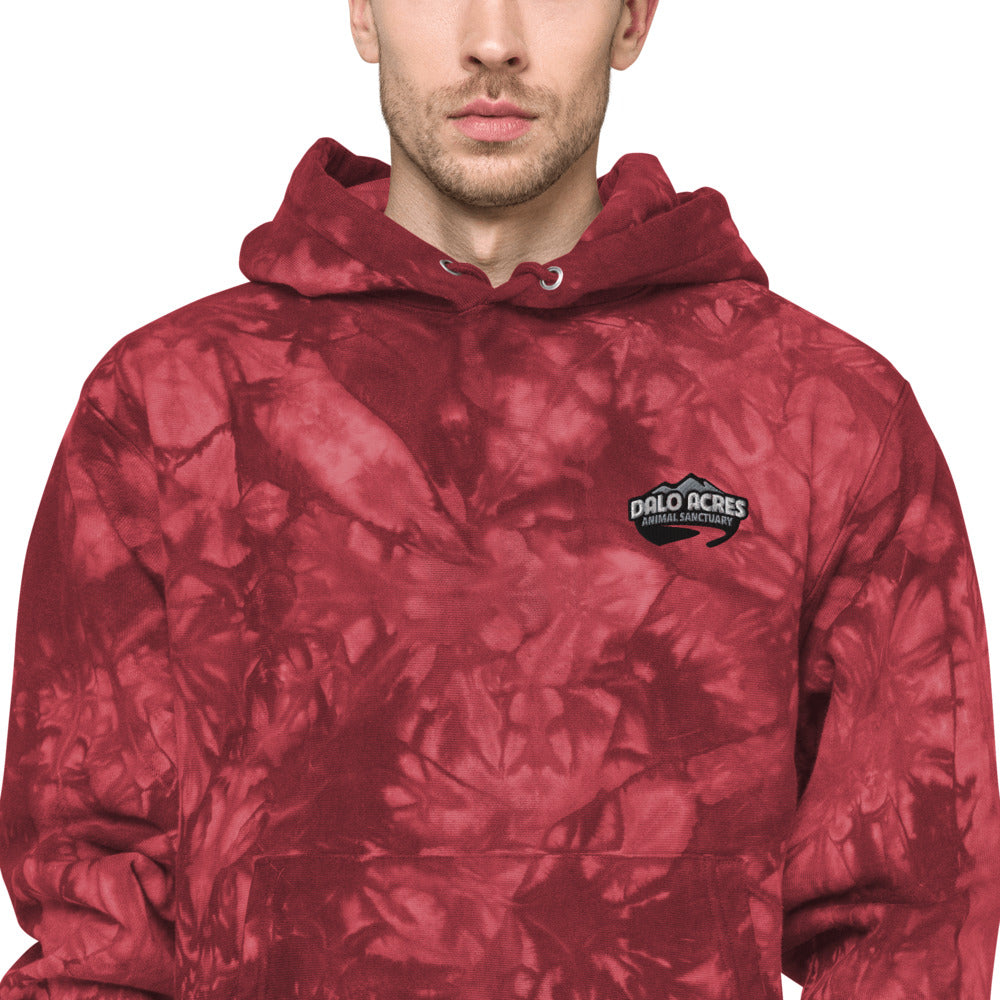 Dalo Acres Unisex Champion tie-dye hoodie