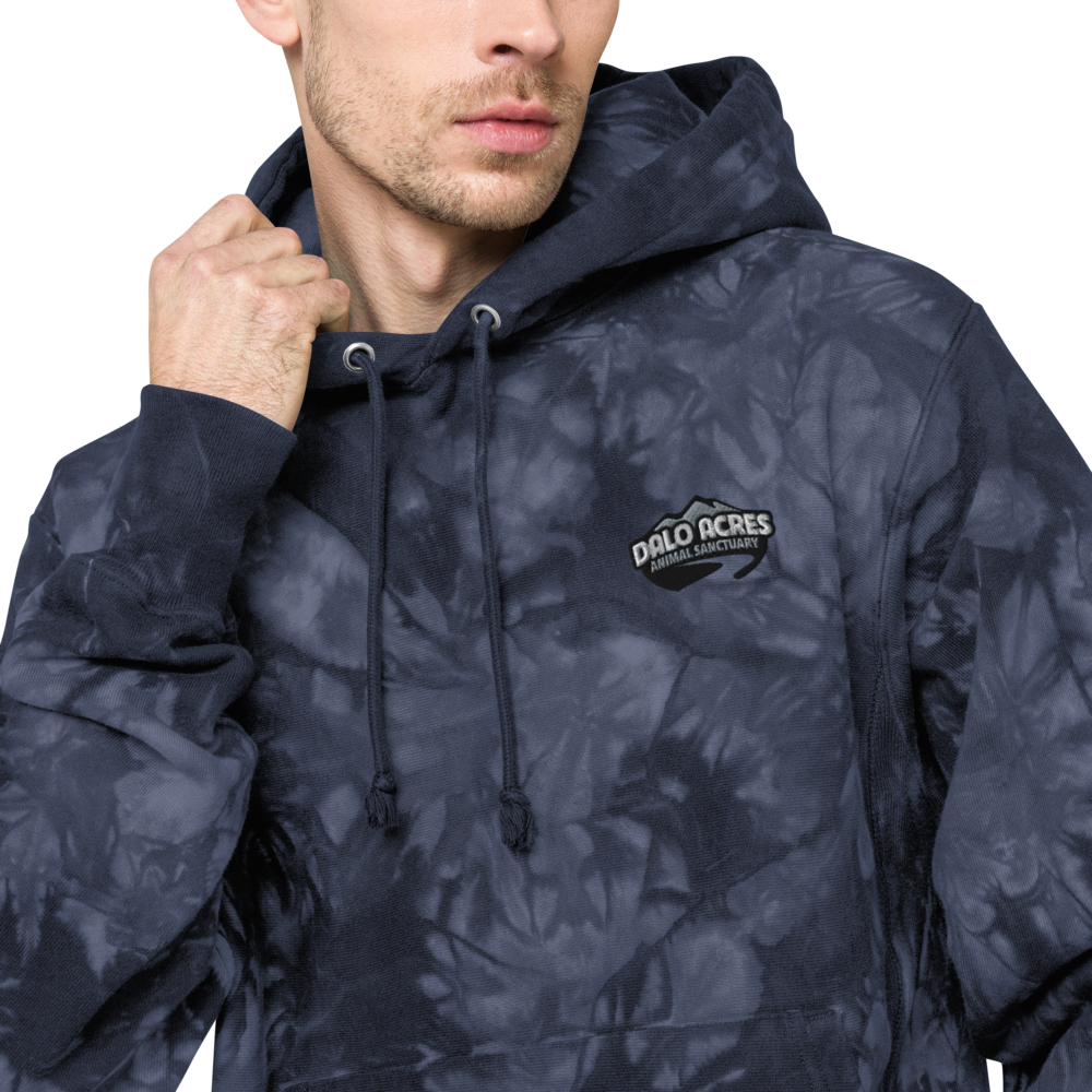 Dalo Acres Unisex Champion tie-dye hoodie